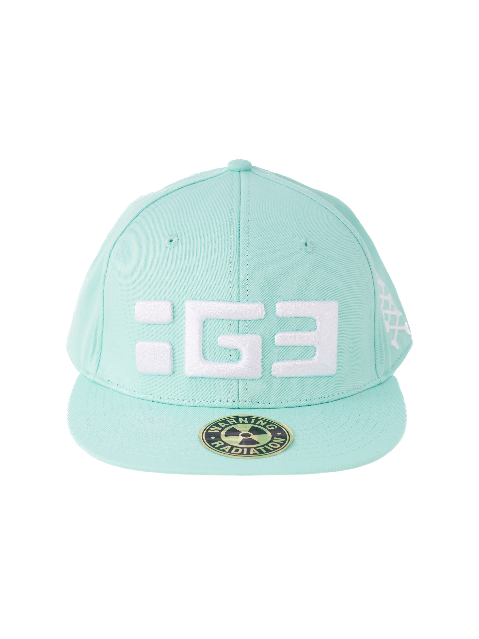 IG3 Logo cap Mint