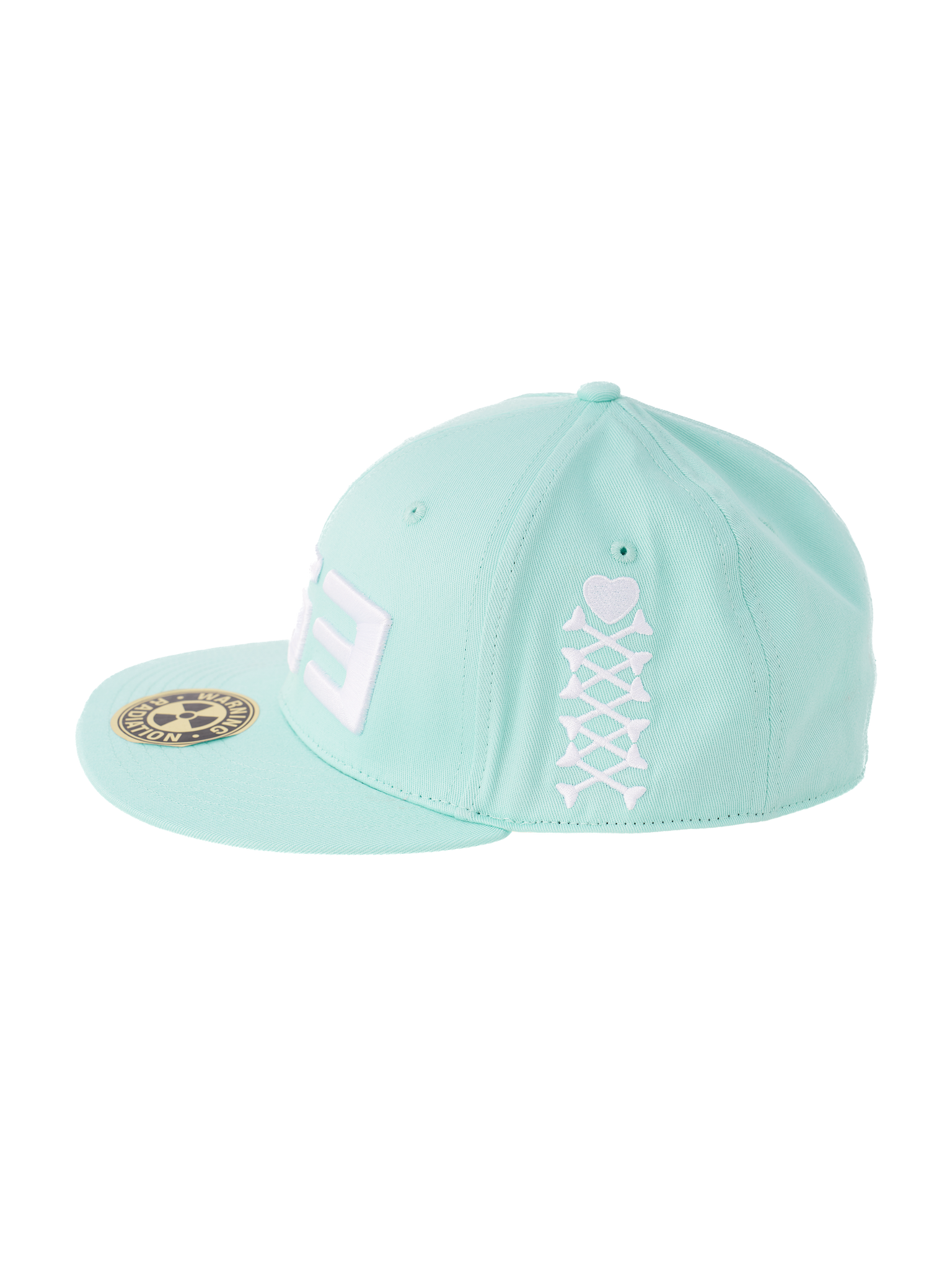IG3 Logo cap Mint