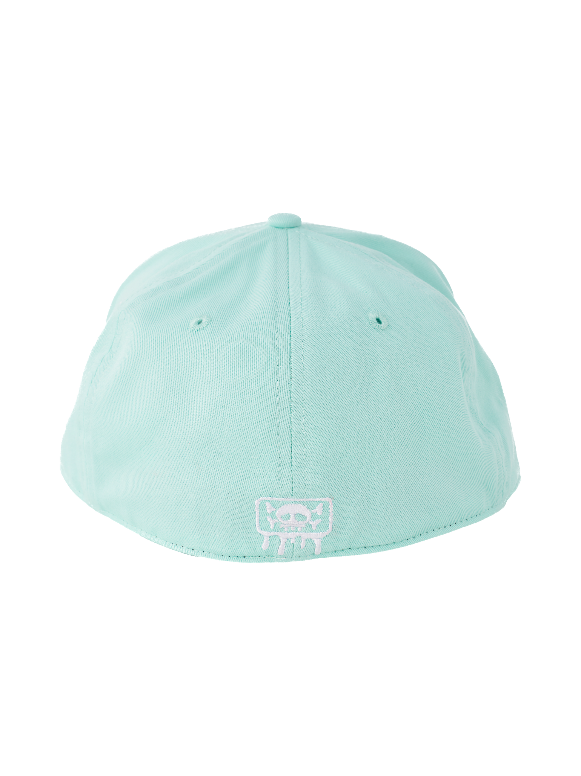 IG3 Logo cap Mint