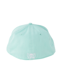 IG3 Logo cap Mint