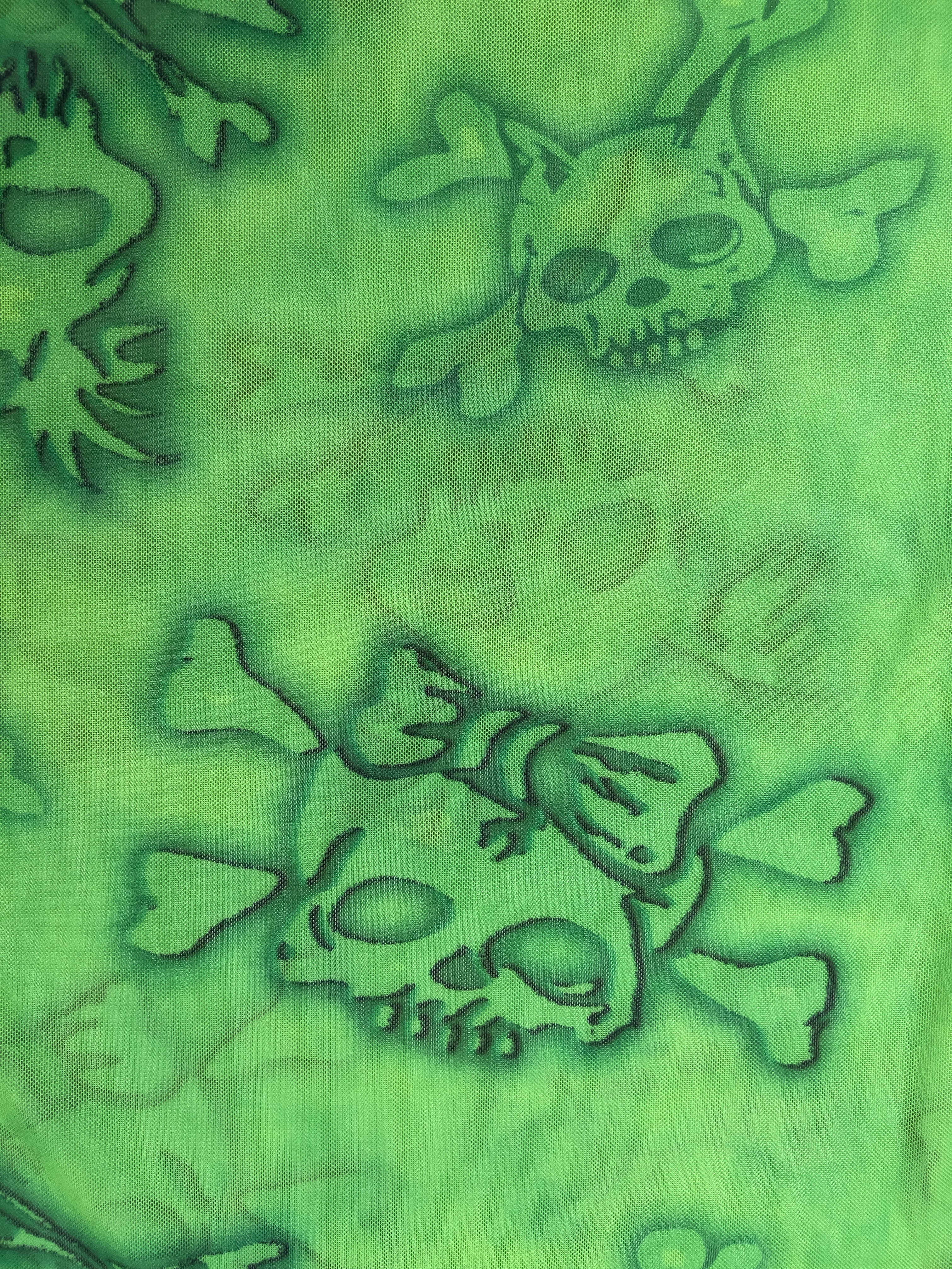 Skull Print Long Sleeve Mesh Top
