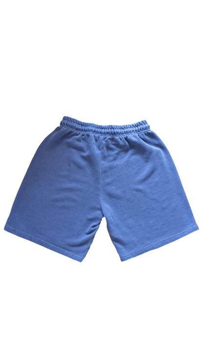 193 Clover pigment sweat shorts (navy)