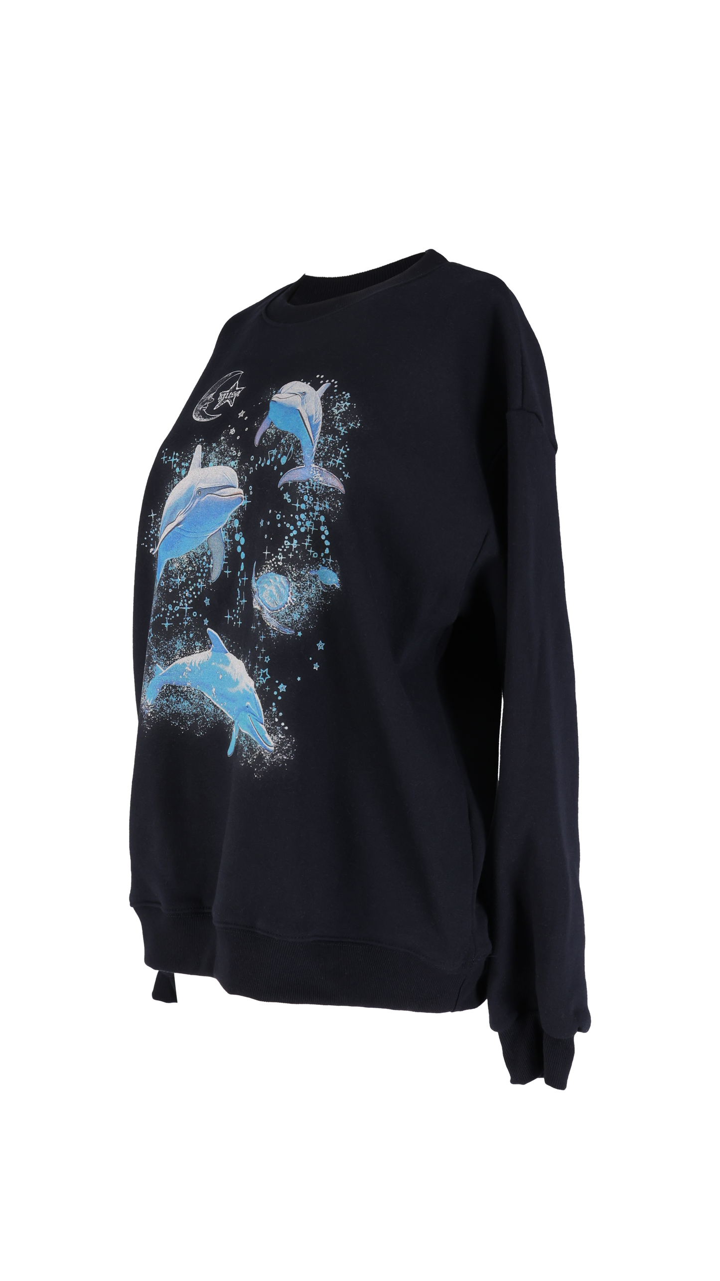 193 Sea animal sweatshirt